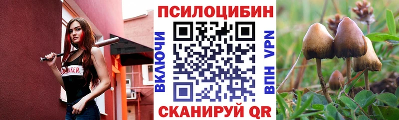 Галлюциногенные грибы Psilocybe  Купить  Наро-Фоминск 