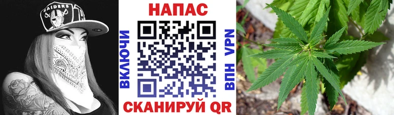 Бошки Шишки конопля  Купить где  Наро-Фоминск 